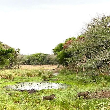 Hideaways Lazuli Bush Lodge, Hluhluwe Dış mekan fotoğraf