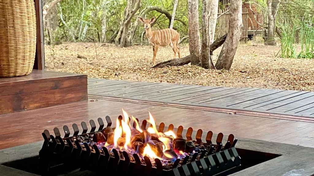 Hideaways Lazuli Bush Lodge, Hluhluwe Dış mekan fotoğraf
