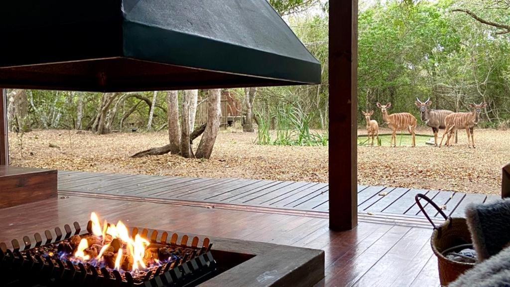 Hideaways Lazuli Bush Lodge, Hluhluwe Dış mekan fotoğraf